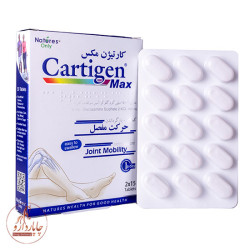 کارتیژن مکس 