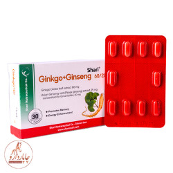 جینکو+جینسنگ60/20 شاری